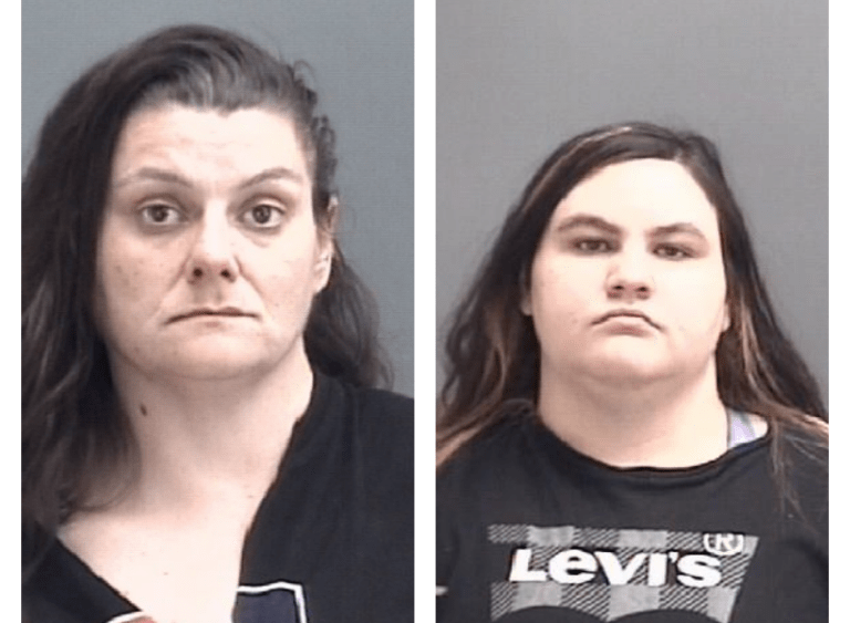 mugshots-768x768506494-1