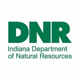 dnr345509