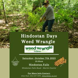 hindostan-weed-wrangle-2023-flier687718