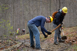 hoosier-national-forest207404