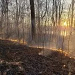 photo1-prescribedfire-brianfinch-150x150334179-1