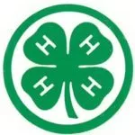 4h-150x150988167-1