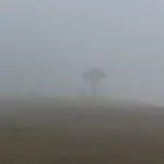 fog_in_wawayanda_state_park_01-150x150322263-1