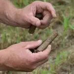 aee17387-1403-4bf6-b67b-f26793e3c49e-150x150274207-1