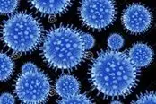 flu-virus376801