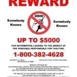 rewardflyer-english-150x150265623-1