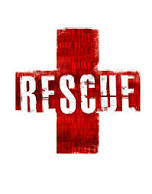 rescue