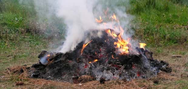 legalburnpile