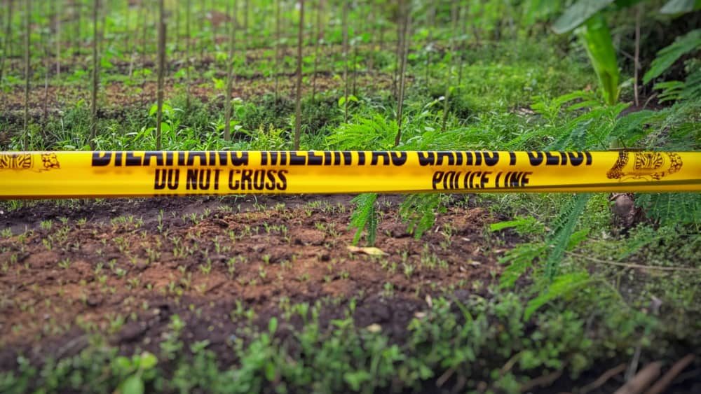 shutterstock_2005491380