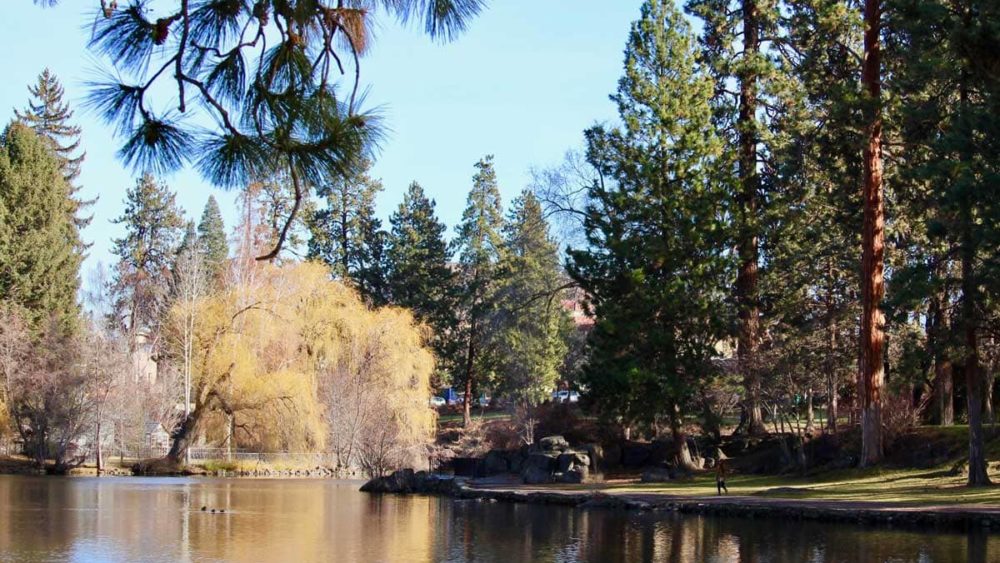 drake-park-now-11562803