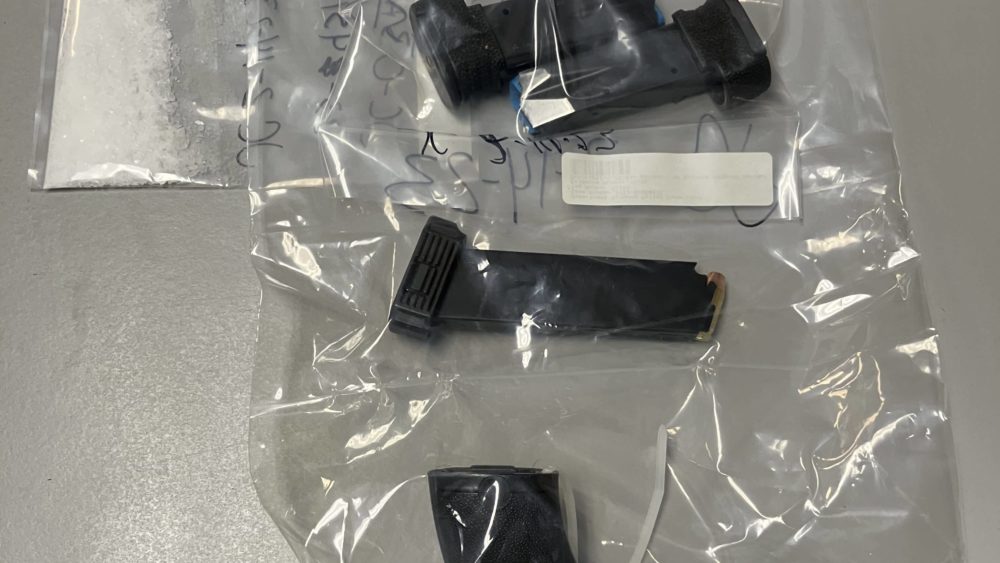 firearms__and__drugs-rotated483483