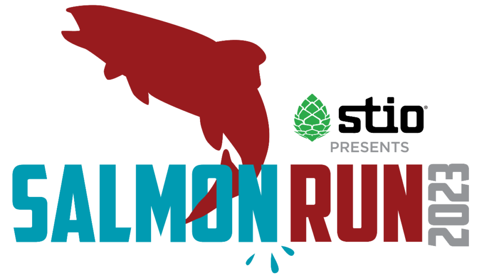 salmon_run938718