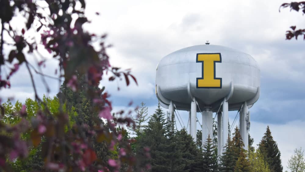 shutterstock_2304476369928848