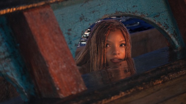 e_little_mermaid_window_053023345346