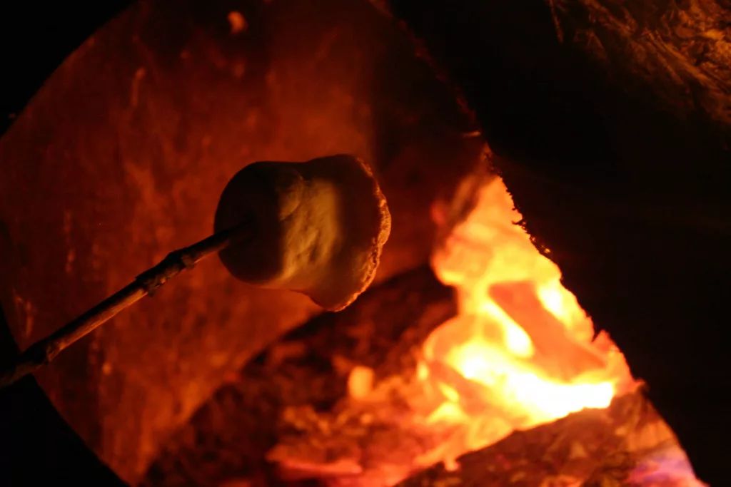 minam_marshmallow_in_the_fire266767