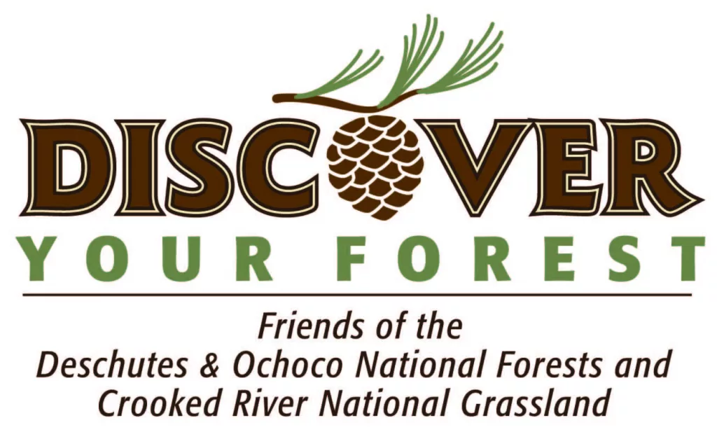 discover_your_forest542355