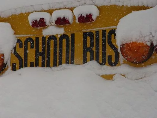 school-bus-bend276496