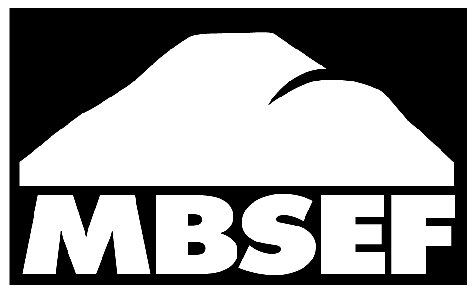mbsef-logo-black400955