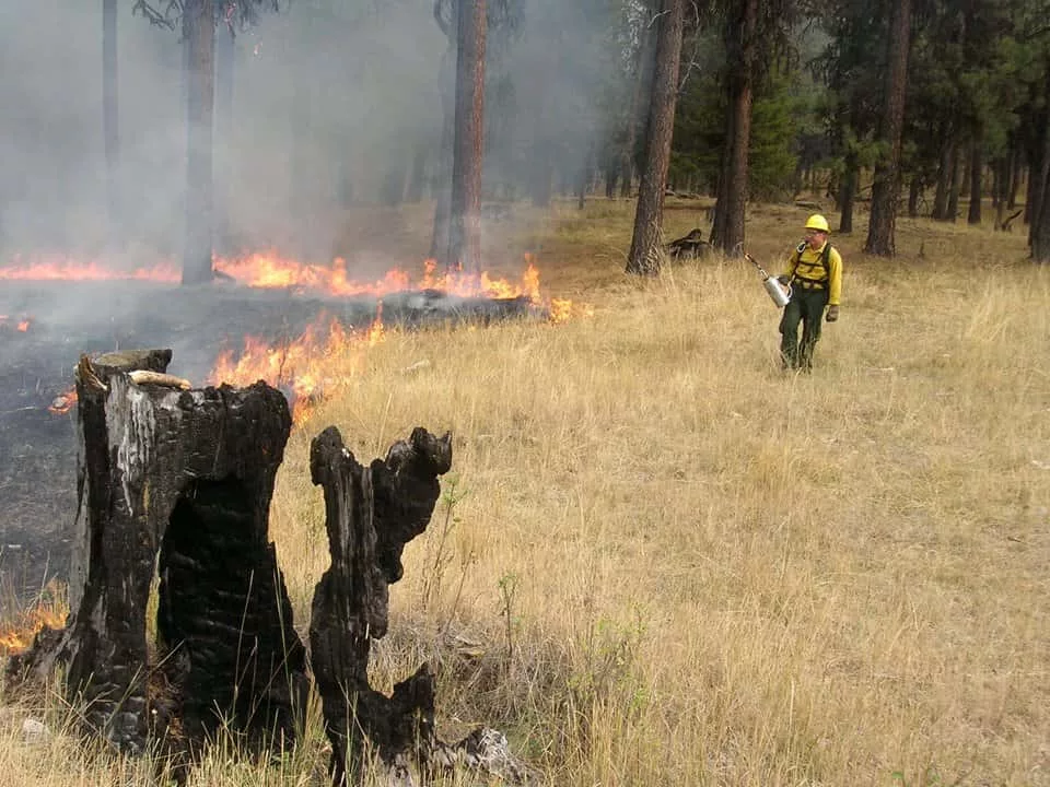 ochoco-national-forest-facebook-3-prescribed-burn612246