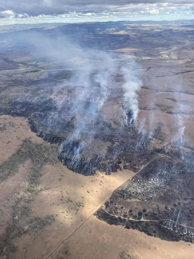 trout-creek-fire-06152024_photo-1-taken-by-cofms-air-attack-rotated11790