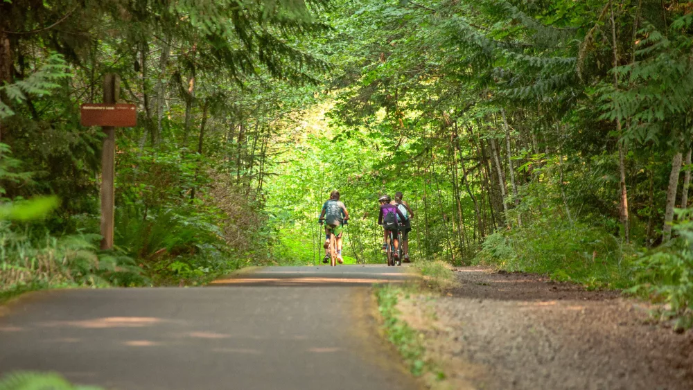 cyclists_1567896