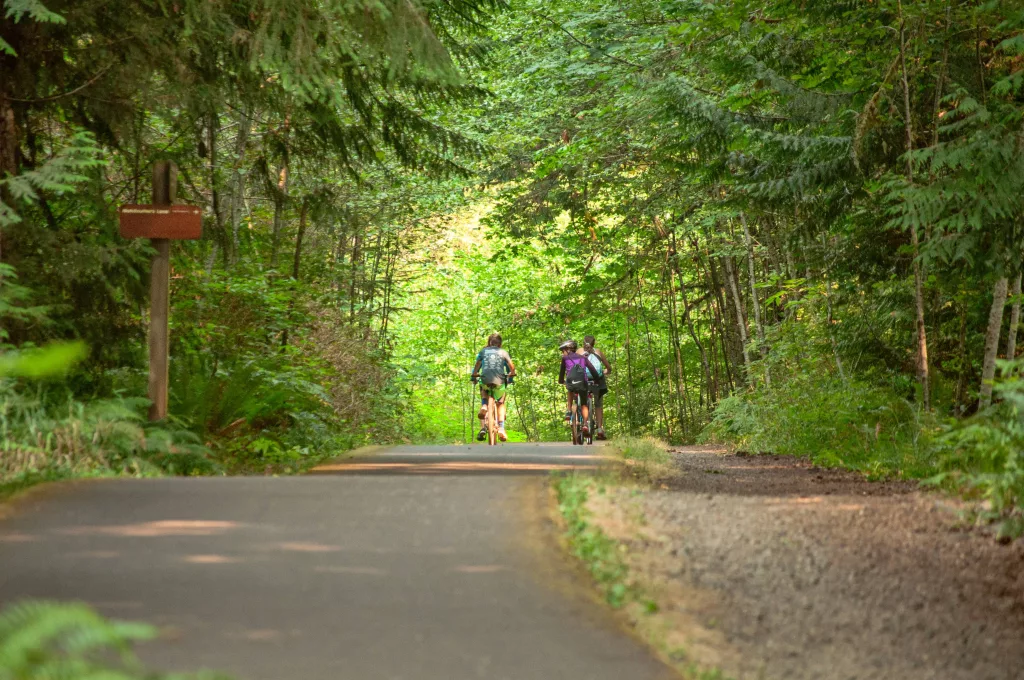 cyclists_1567896