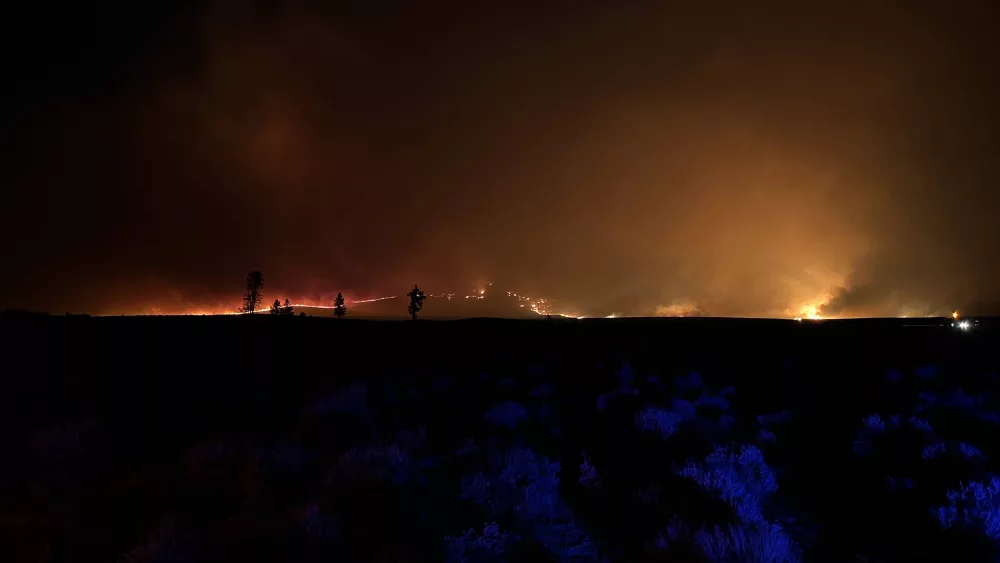 pine_fire_3802470