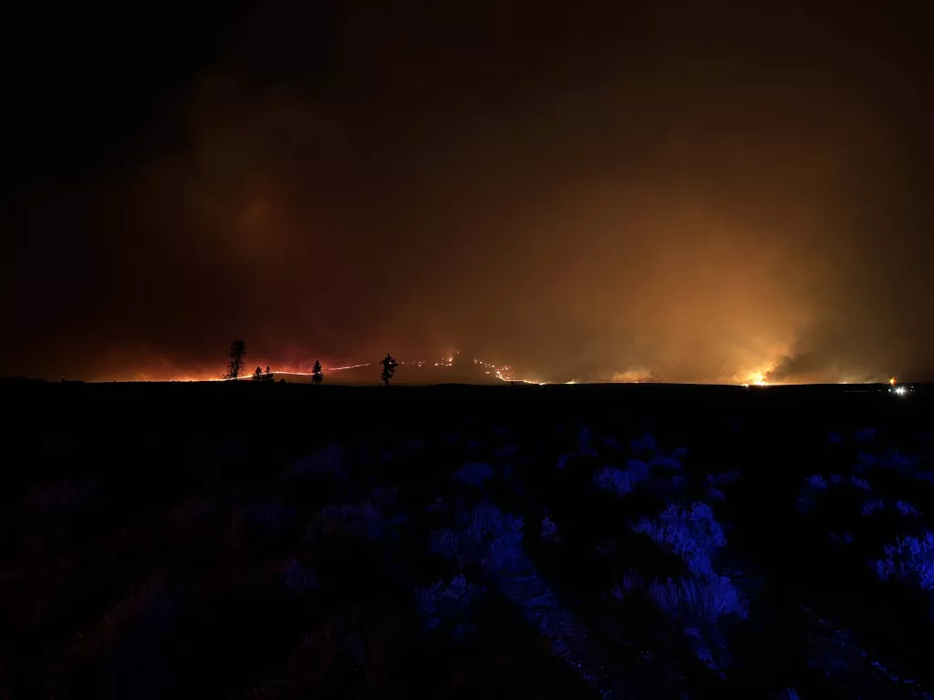 pine_fire_3802470
