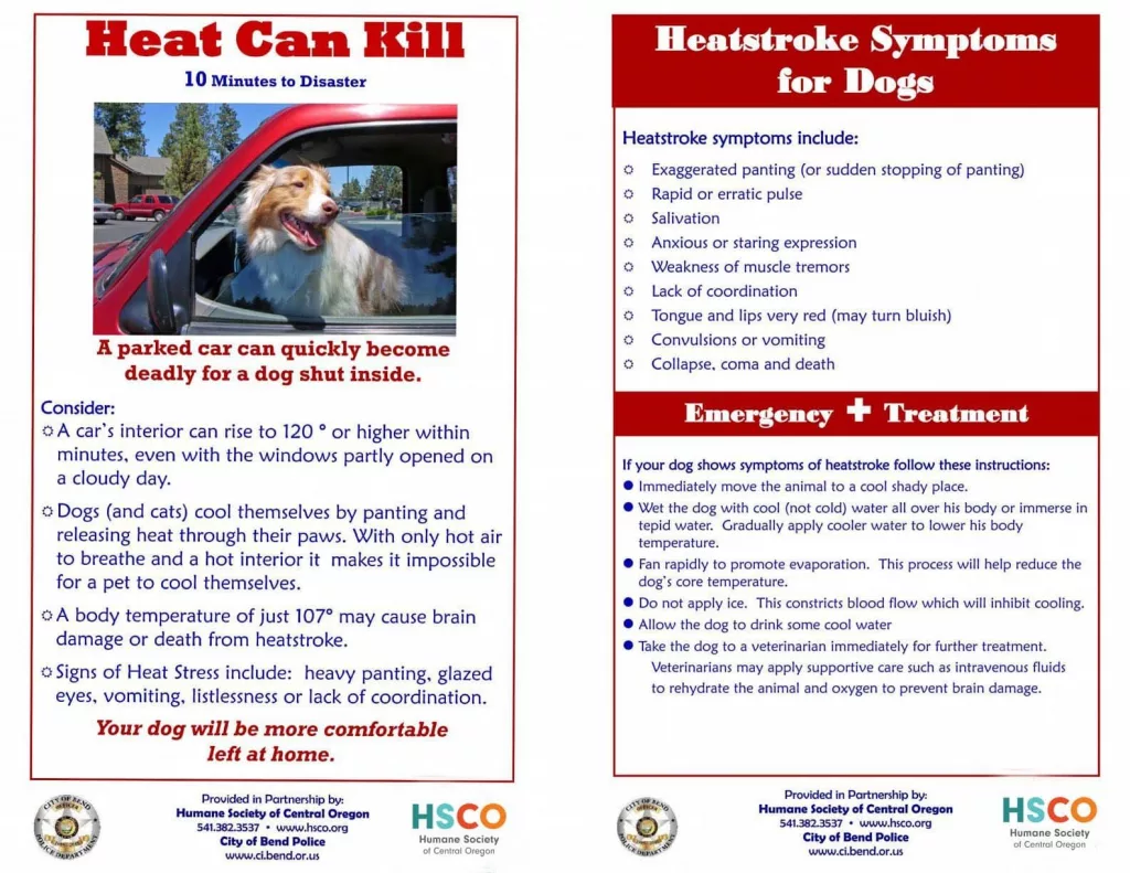 hsco-heat-can-kill-poster-24806527