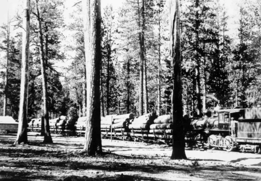 imgi_4_lumber-industry-central-oregon-png