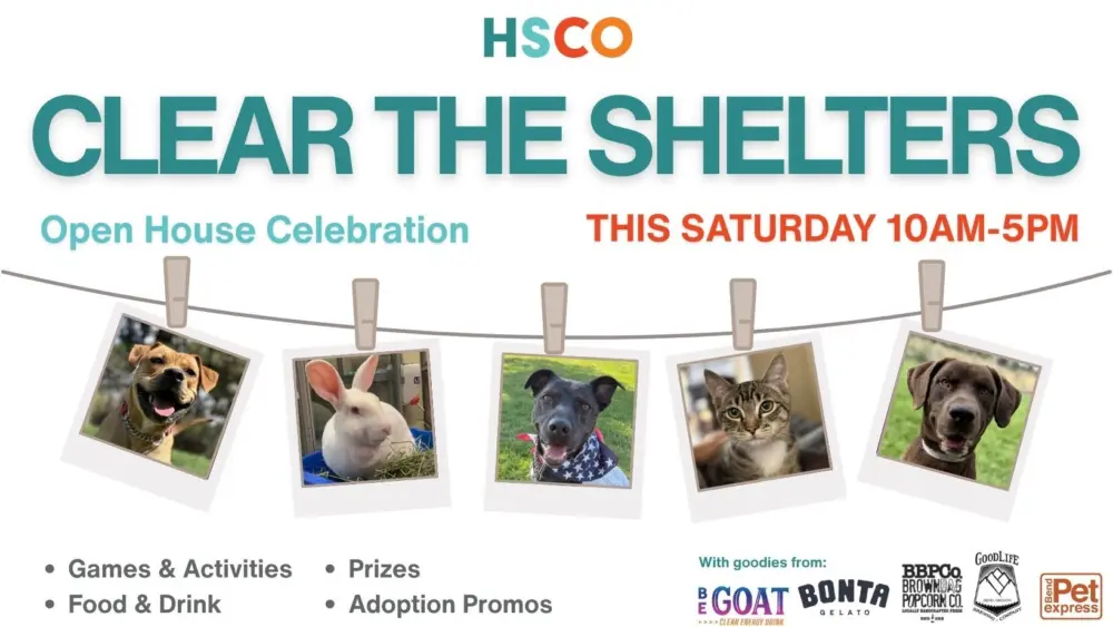 hsco-clear-the-shelters-l974510
