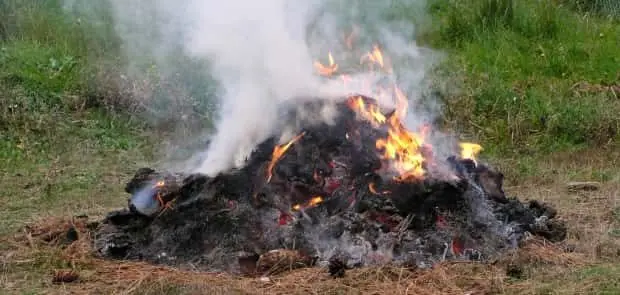 legalburnpile657227