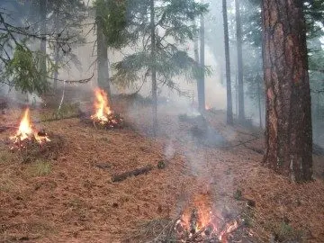 burn-piles-file-e1424740301543839748