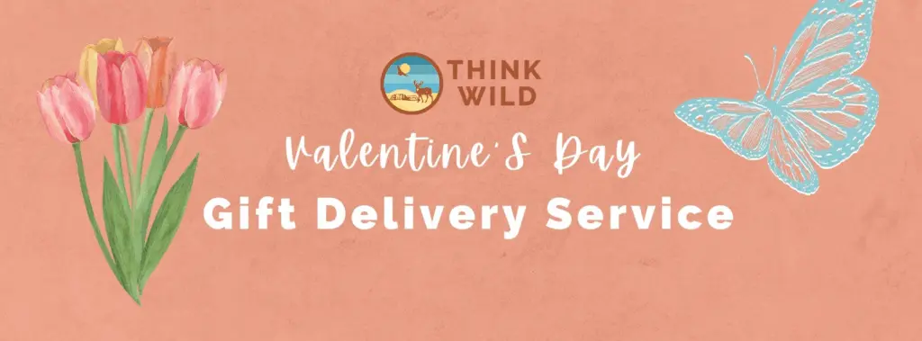 imgi_27_valentines-day-banner-2648302