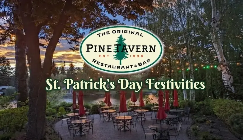 gemini_generated_image_dgz144dgz144dgz1-png-2