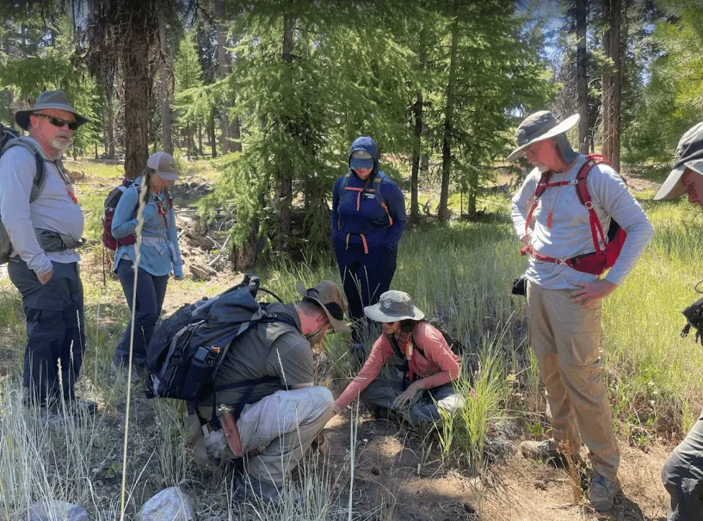 volunteers-observing-and-interpreting-track-and-sign-during-a-summer-outing-in-the-ochocos55123