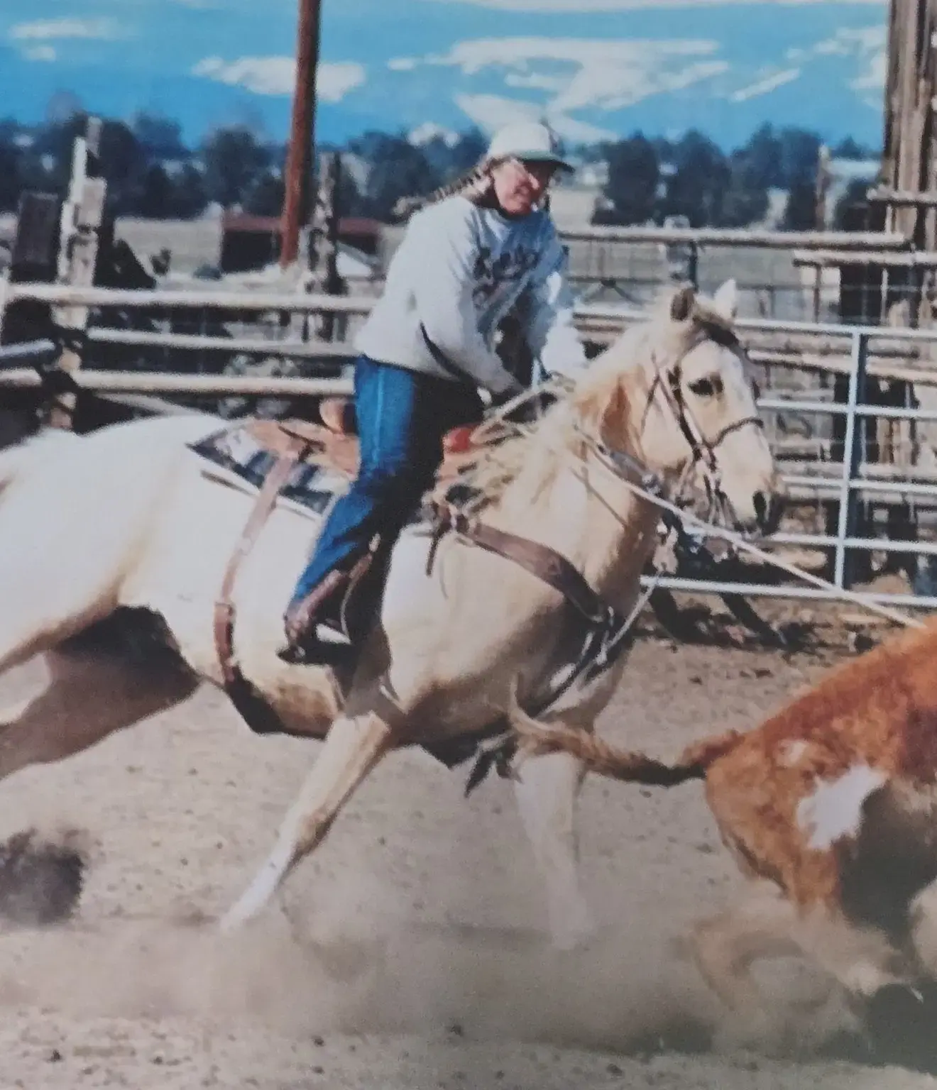 imgi_36_judy-robinson-roping-png