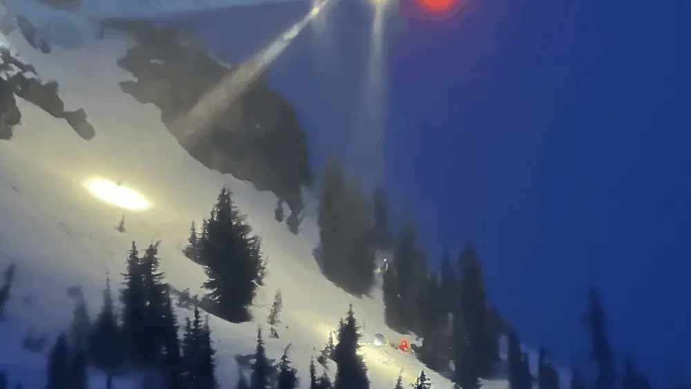 tammcarthurrescue1406932