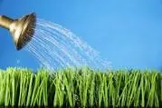 garden484765