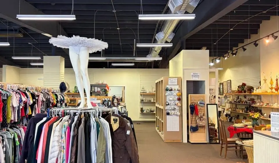furry_thrift685177