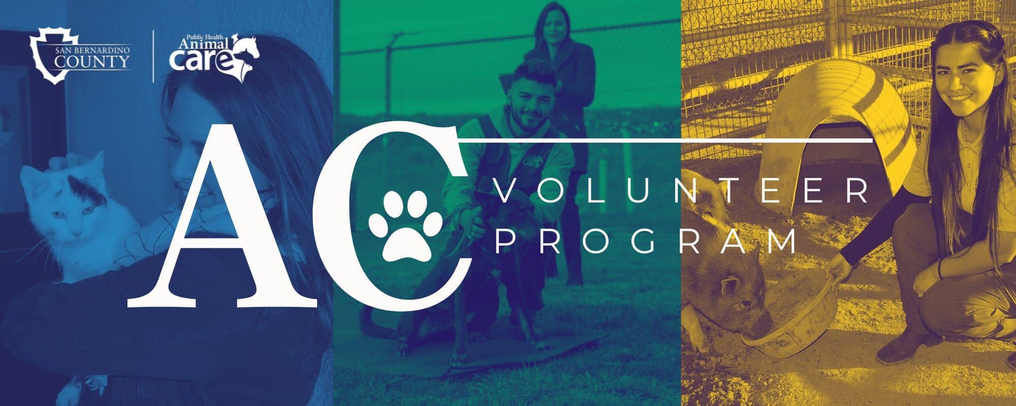ac-volunteer-program-logo-500-500-px_original