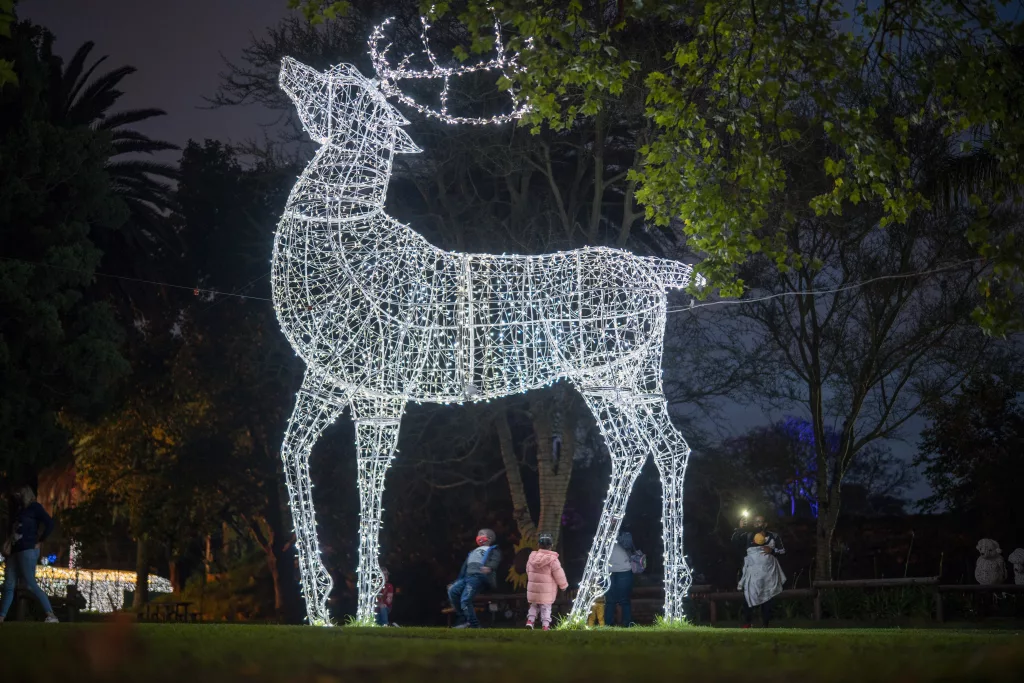 christmas-lights-south-africa