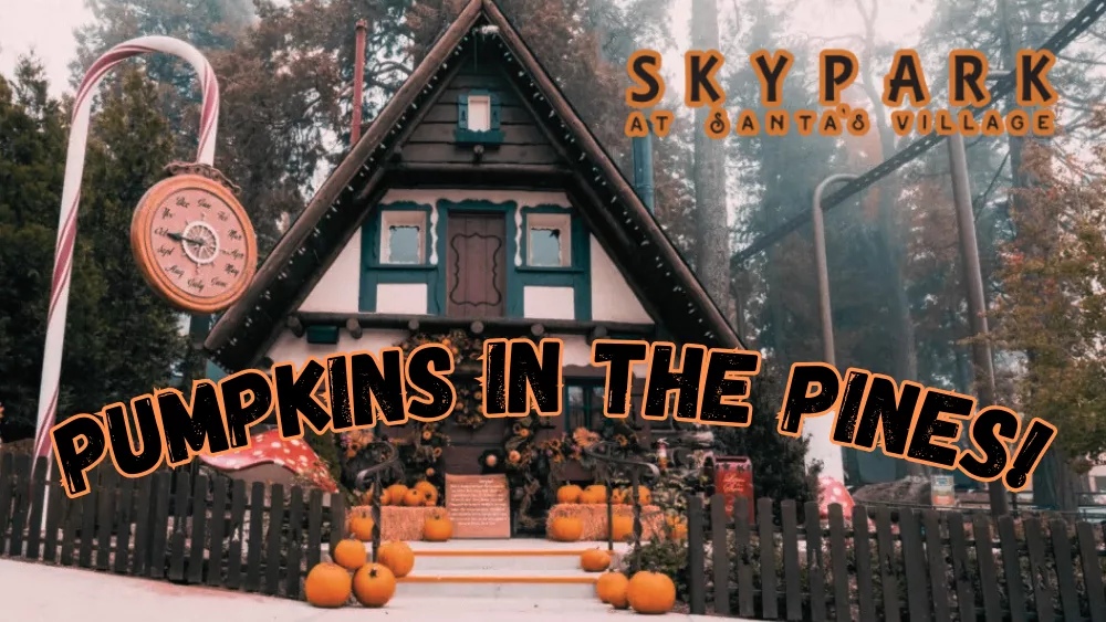 pumpkins-in-the-pines