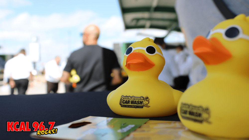 quackle1000x563