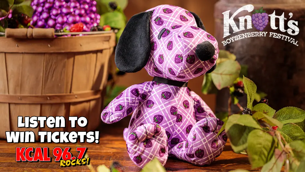 kcal-boysenberry-web-2