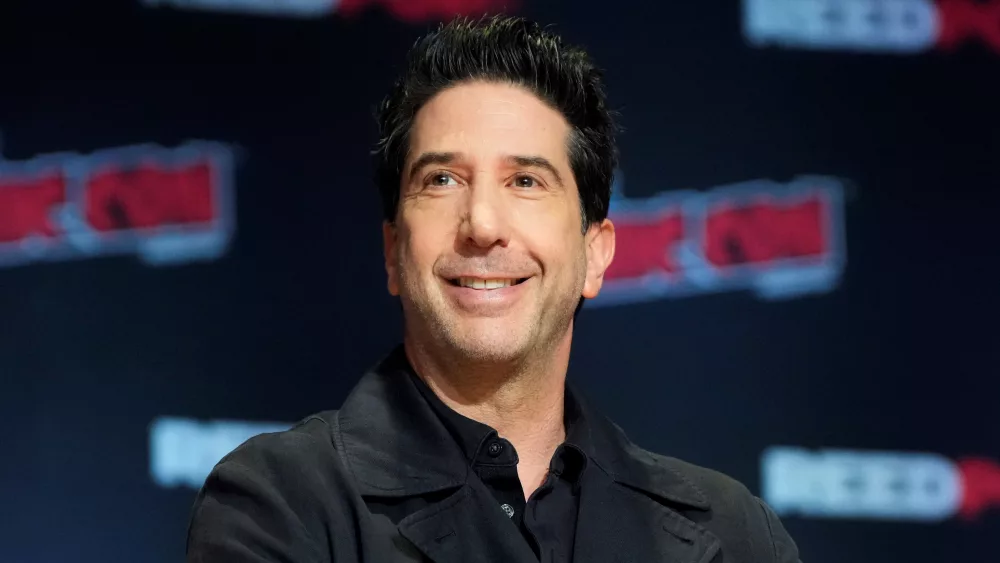 david-schwimmer