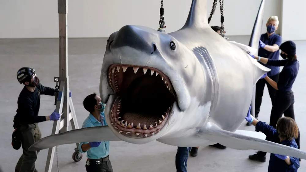 jaws-installation-at-the-academy-museum-of-motion-pictures