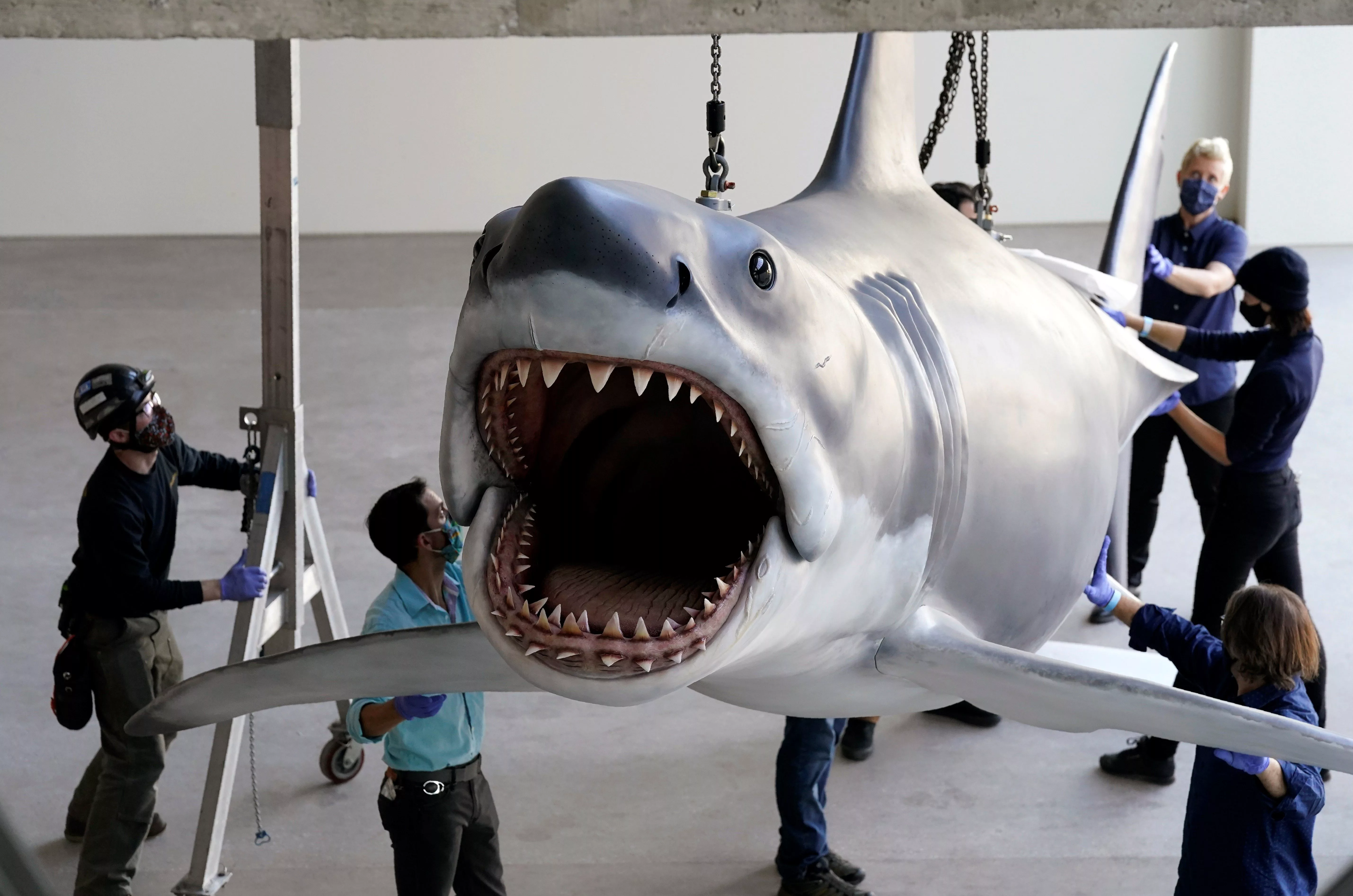 jaws-installation-at-the-academy-museum-of-motion-pictures