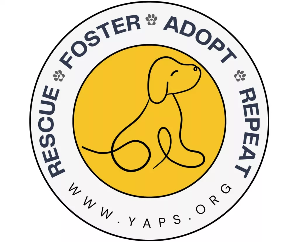 yaps_logo-2