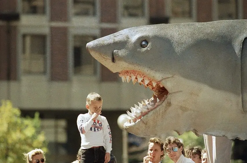 jaws-shark